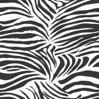 Zebra 2