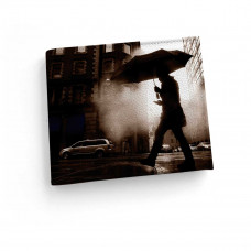 Обложка для зачетной книжки ZTK1 «Rain man»