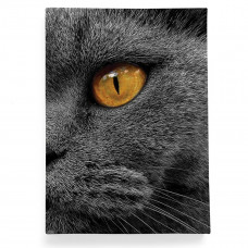 Обложка для паспорта, PAS2 «Cat Eyes»