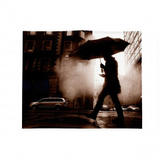 Портмоне PRS3 «Rain man»