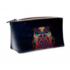 Косметичка big KOS2 «Owl color»