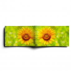 BSN1 «Sunflower»