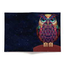 Обложка для автодокументов, AUT2 «Owl color»
