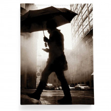 Обложка для автодокументов, AUT2 «Rain man»