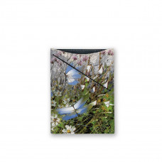 Обложка для документов, PAS3 «Бабочки над цветами и травами»
