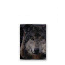 Обложка для документов, PAS3 «Волк»