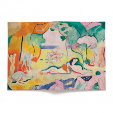 Обложка для паспорта, PAS2 «Buenos Aires Meets Matisse»