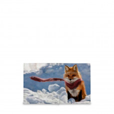 Кошелек мини PR17 «Mr. Fox»