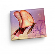 Обложка для зачетной книжки ZTK1 «Бабочка 6»