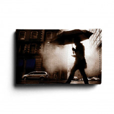 BSN1 «Rain man»