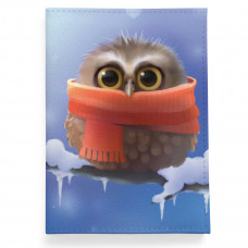 Обложка для паспорта, PAS2 «Owl in scarf»