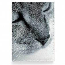 Обложка для автодокументов, AUT2 «Cat»