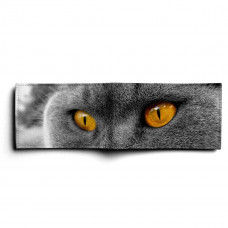 BSN1 «Cat Eyes»