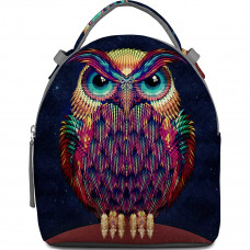 Рюкзак BK16 «Owl color»