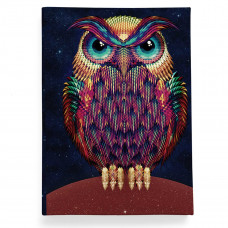 Обложка для автодокументов, AUT2 «Owl color»