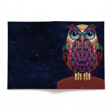 Обложка для паспорта, PAS2 «Owl color»