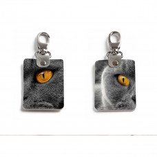 Брелок (Прямоугольный ) TRI1 «Cat Eyes»
