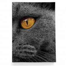 Обложка для автодокументов, AUT2 «Cat Eyes»