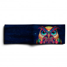 BSN1 «Owl color»