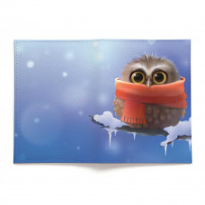 Обложка для паспорта, PAS2 «Owl in scarf»