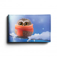 BSN1 «Owl in scarf»