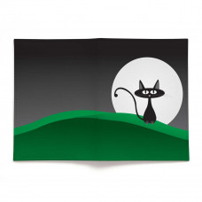 Обложка для паспорта, PAS2 «Кот с луной»