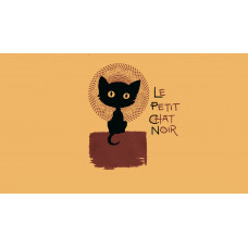 Small black cat