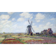Claude Monet Tulip Field and windmill